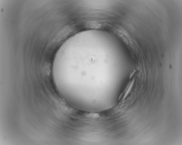 X0000088620374200706151858