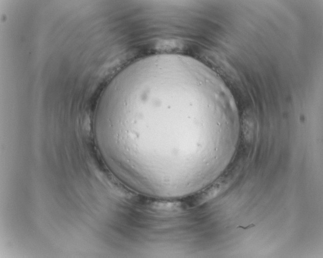 X0000088620375200706151858