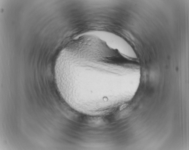 X0000088620377200706151858