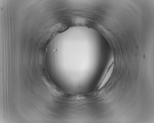 X0000088620379200706151858