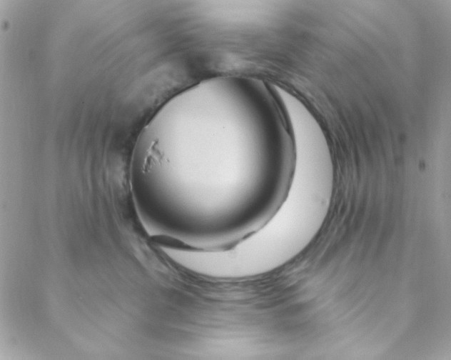 X0000088620380200706151858