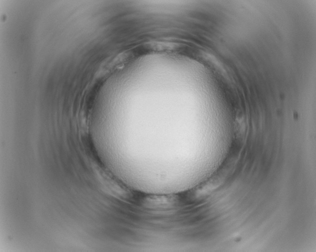 X0000088620381200706151858