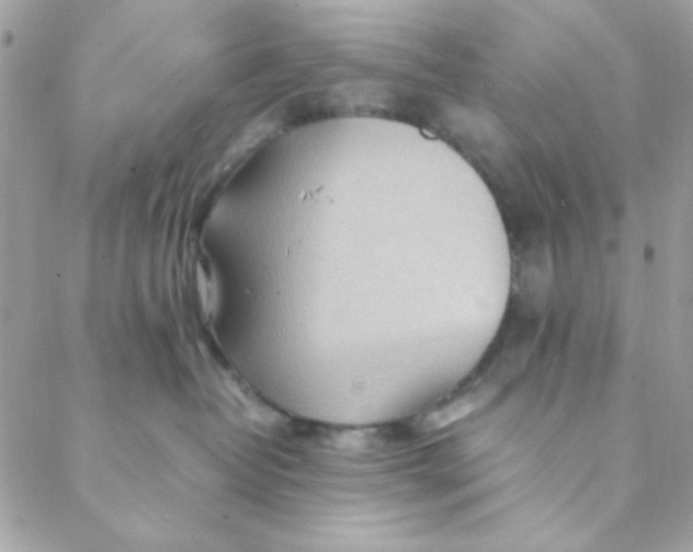 X0000088620382200706151858