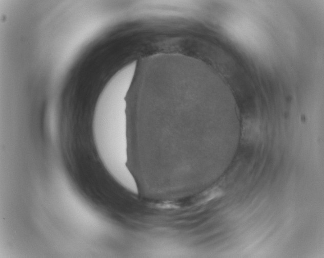 X0000088620383200706151858