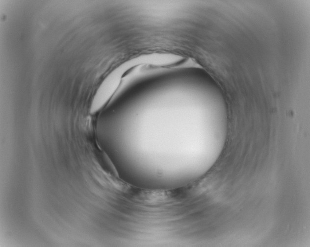 X0000088620384200706151858