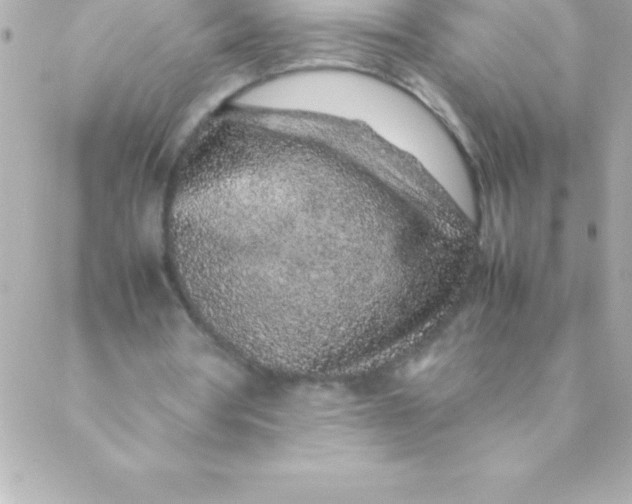 X0000088620386200706151857