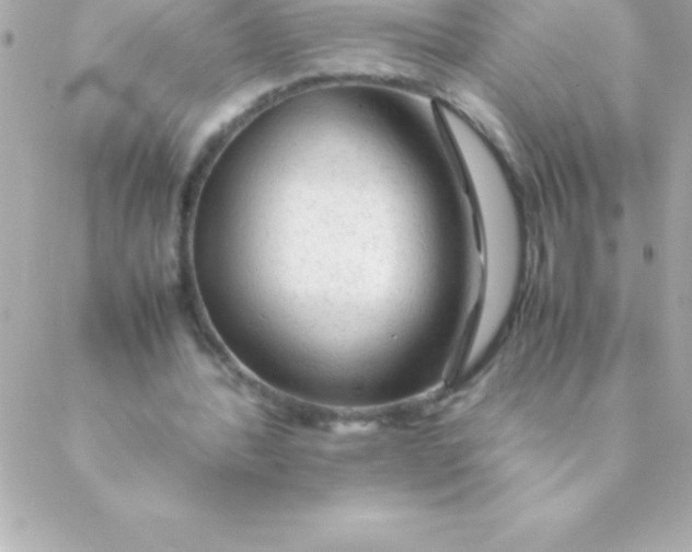 X0000088620388200706151857