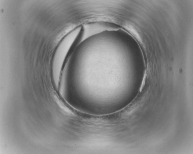 X0000088620389200706151857