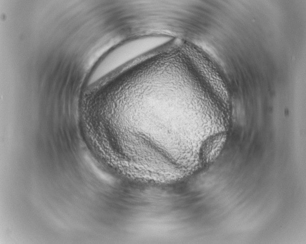 X0000088620390200706151857