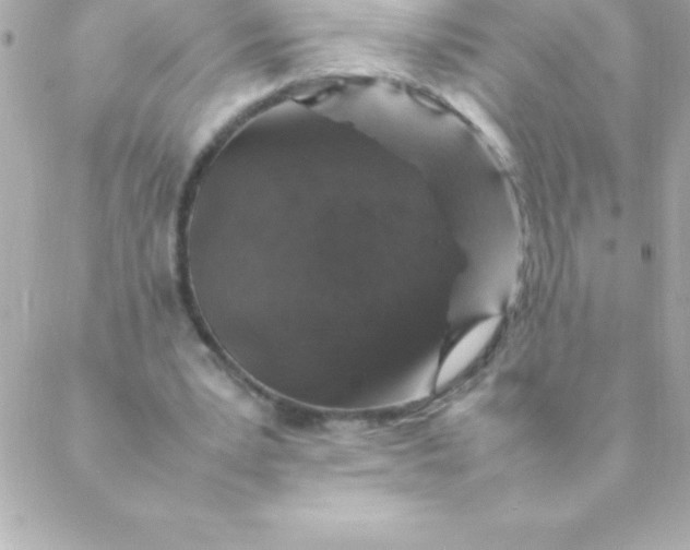 X0000088620391200706151857