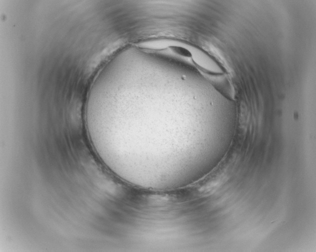 X0000088620394200706151857