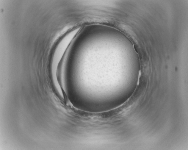 X0000088620395200706151857