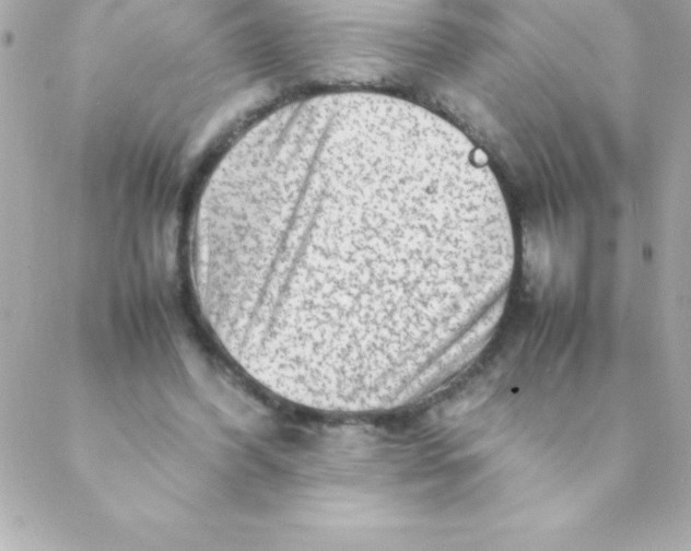 X0000088620396200706151857