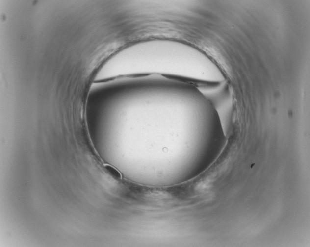 X0000088620397200706151857