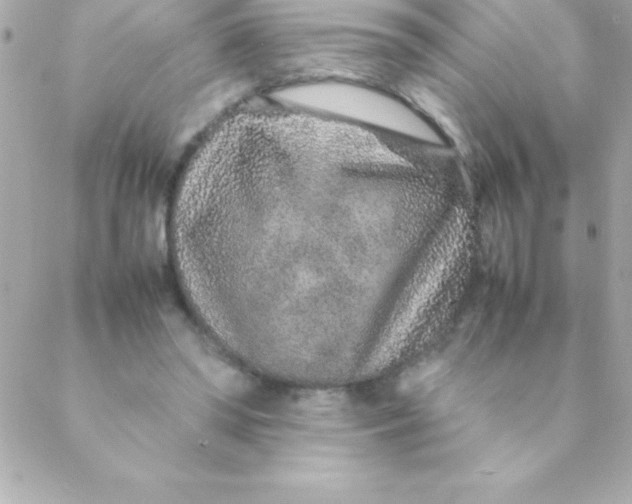 X0000088620398200706151857