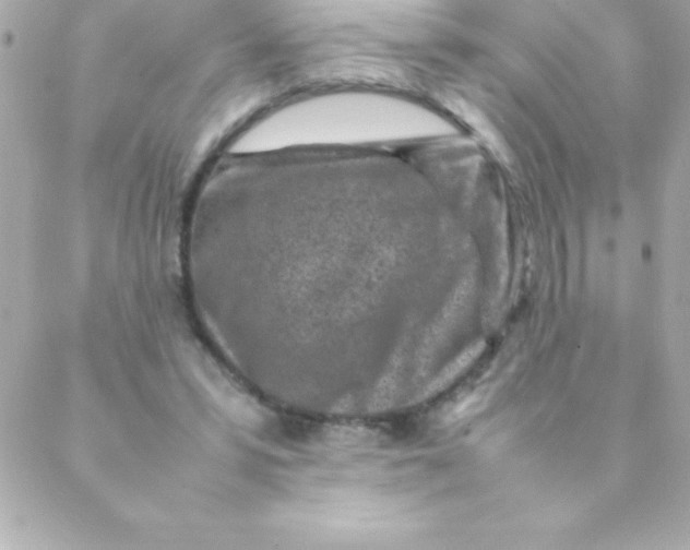 X0000088620399200706151857