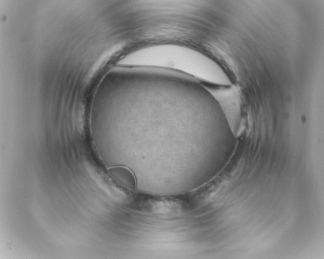 X0000088620400200706151857