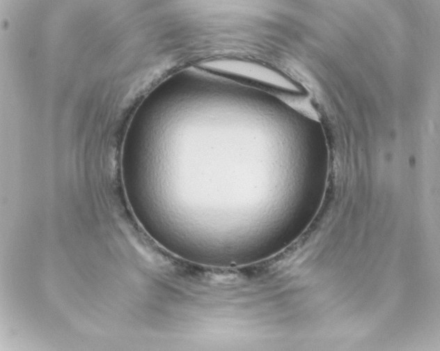 X0000088620401200706151857