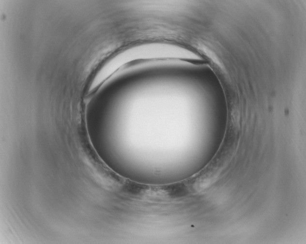 X0000088620403200706151857