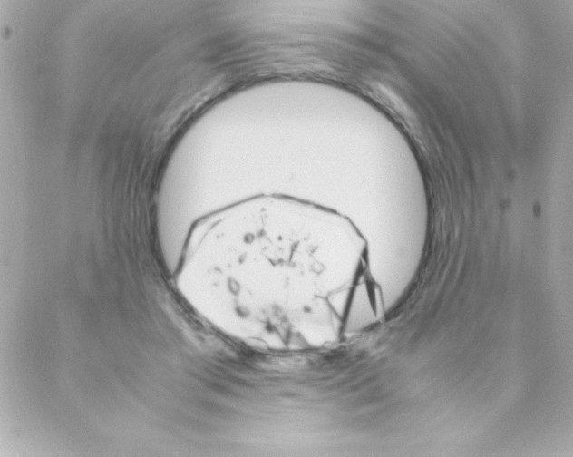 X0000088620405200706151857