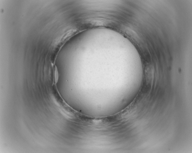 X0000088620406200706151857