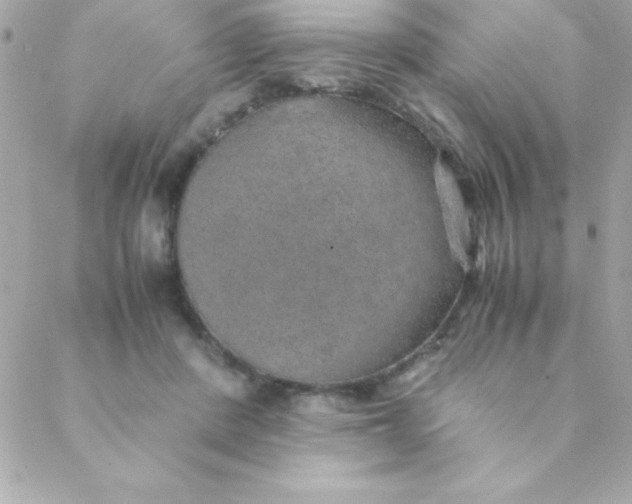 X0000088620408200706151857