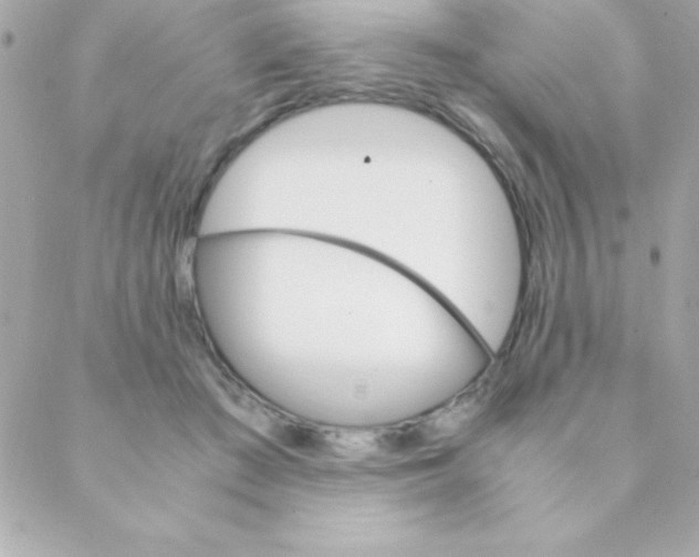 X0000088620409200706151857