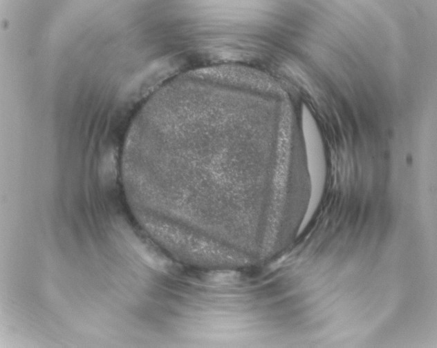 X0000088620410200706151857