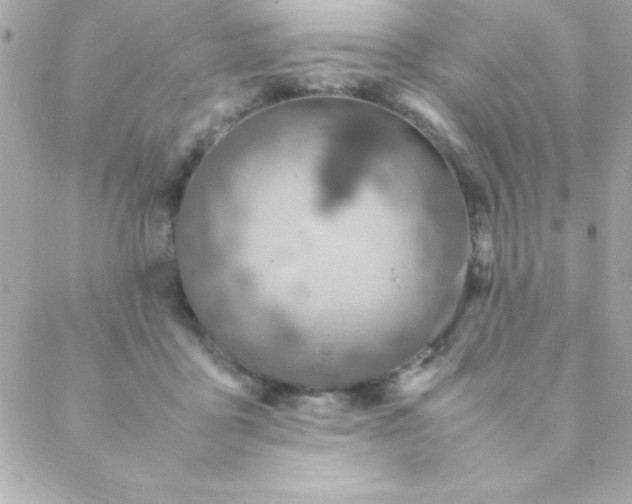 X0000088620411200706151857