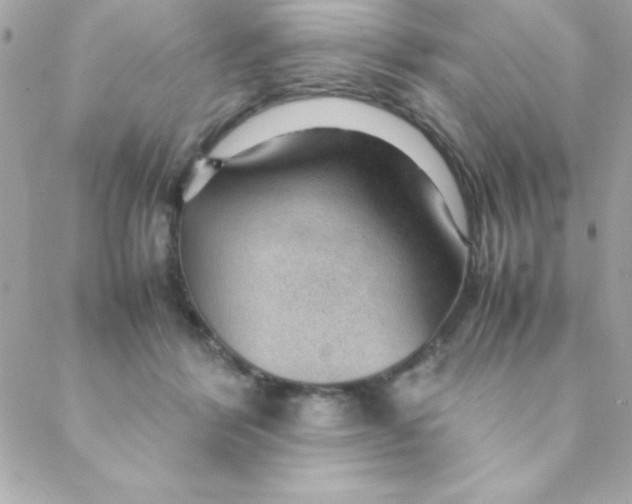 X0000088620412200706151857