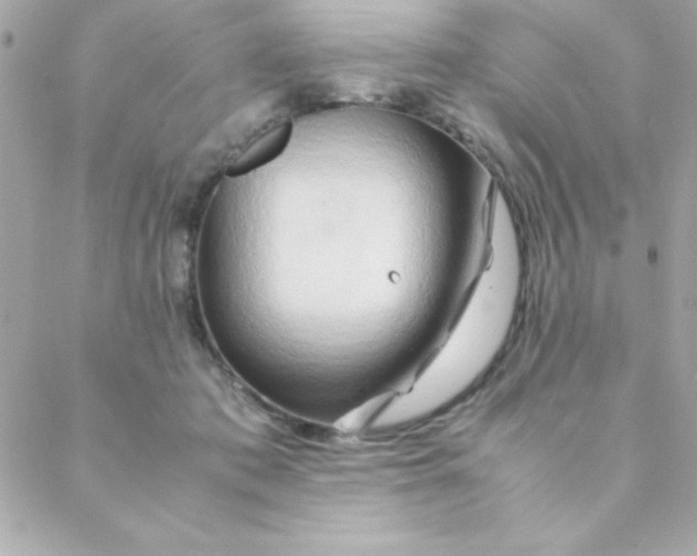 X0000088620413200706151857