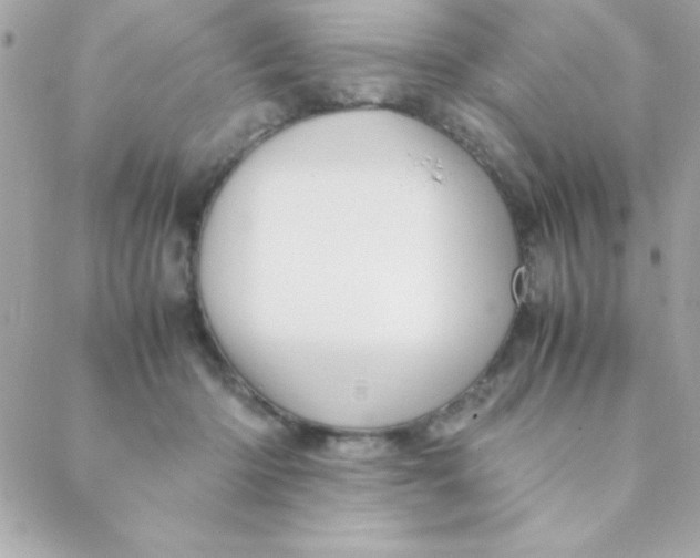 X0000088620414200706151857