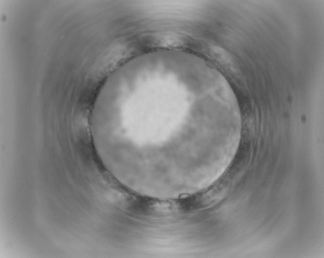 X0000088620415200706151857