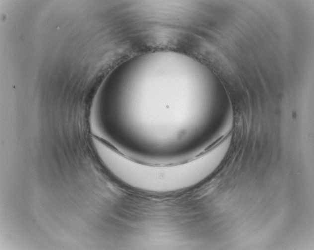 X0000088620416200706151857