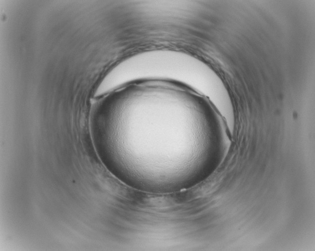 X0000088620417200706151857