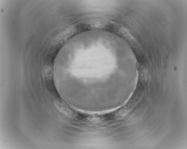 X0000088620419200706151857