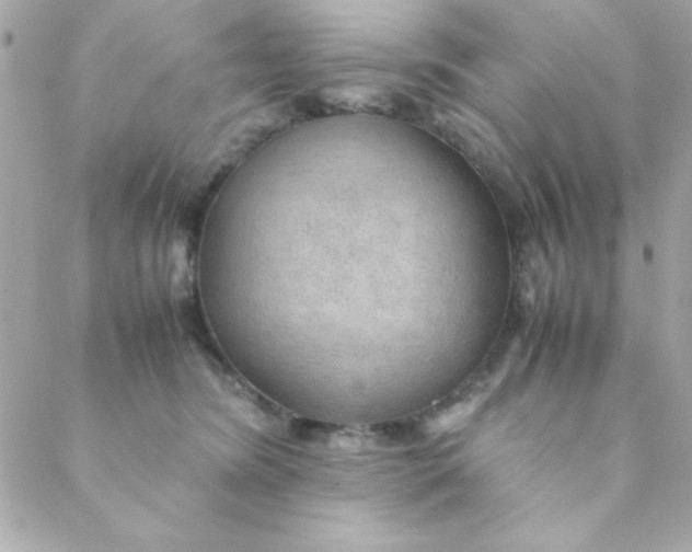 X0000088620420200706151857