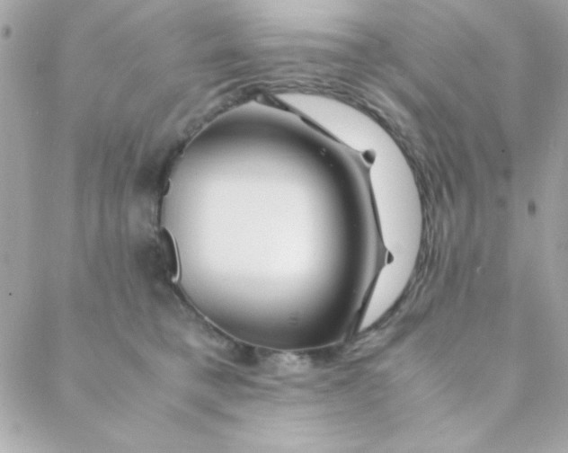 X0000088620421200706151857