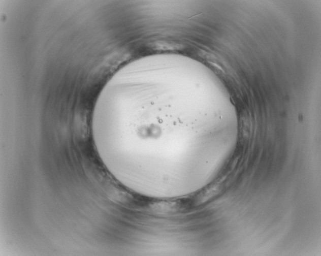 X0000088620422200706151857