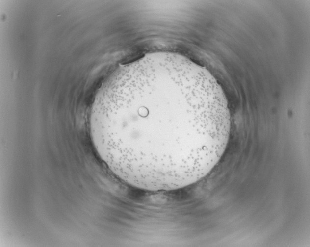 X0000088620423200706151857