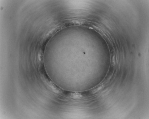 X0000088620424200706151857