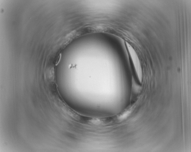 X0000088620425200706151857