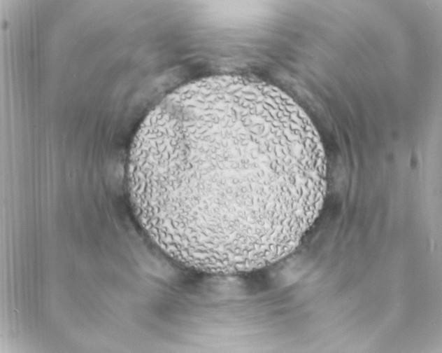 X0000088620427200706151857