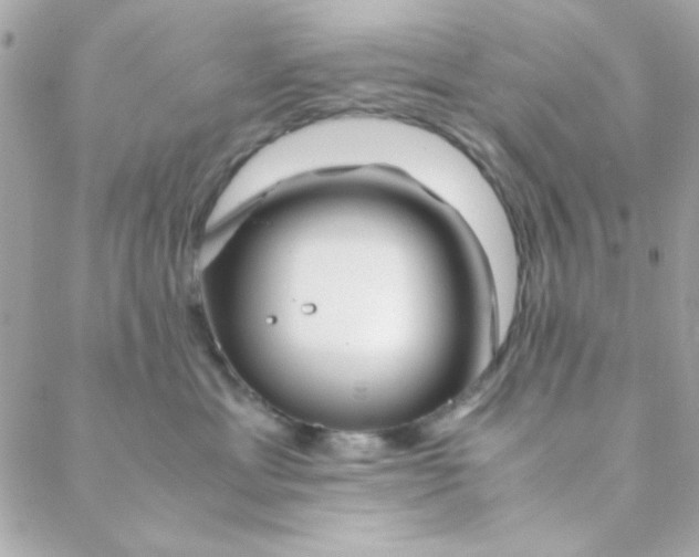 X0000088620429200706151857