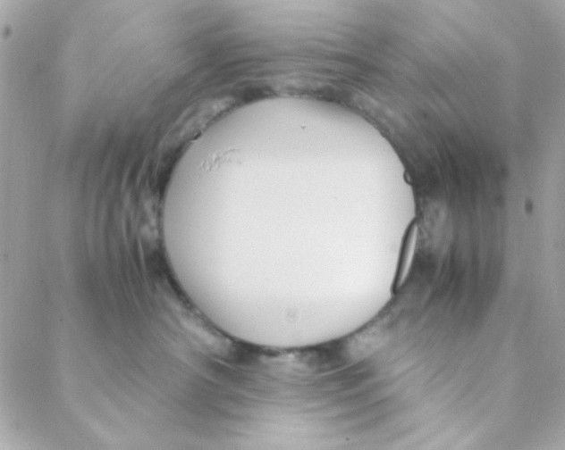 X0000088620430200706151857