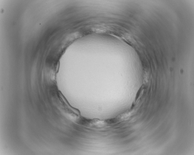 X0000088620431200706151857