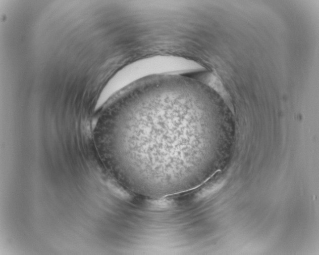 X0000088620432200706151857