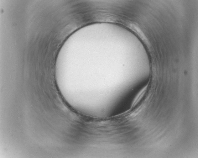 X0000088620433200706151856