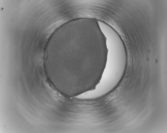 X0000088620434200706151856