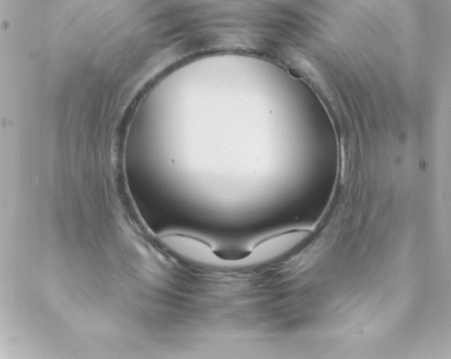 X0000088620435200706151856